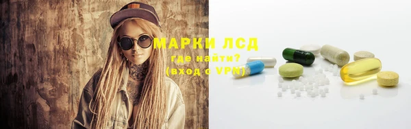 сатива Вязьма