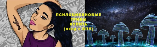 сатива Вязьма