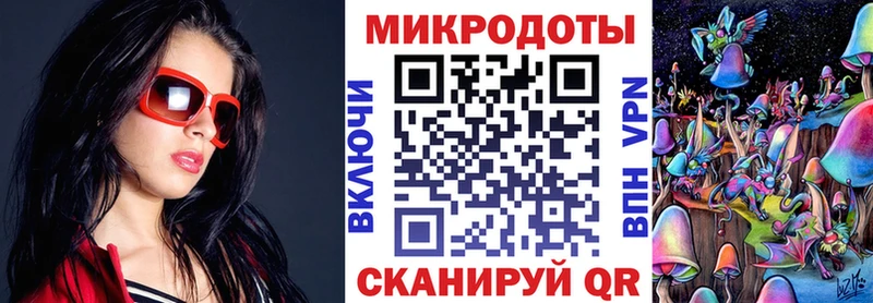 Псилоцибиновые грибы прущие грибы  Западная Двина 